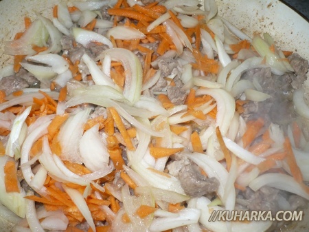 Потушить мясо с луком и морковью